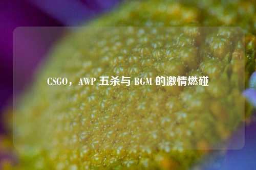 CSGO，AWP 五杀与 BGM 的 *** 燃碰