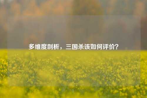多维度剖析，三国杀该如何评价？