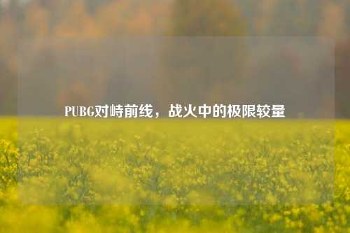 PUBG对峙前线，战火中的极限较量