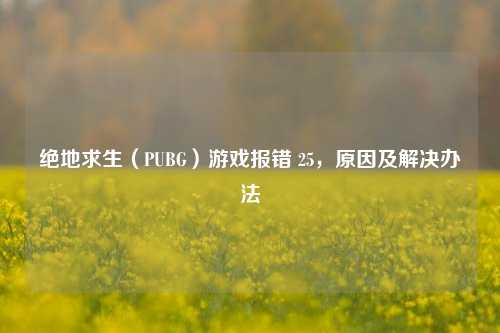 绝地求生（PUBG）游戏报错 25，原因及解决办法