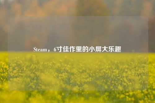 Steam，6寸佳作里的小屏大乐趣