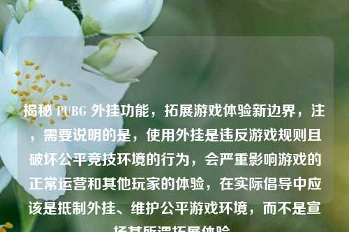 揭秘 PUBG 外挂功能，拓展游戏体验新边界，注，需要说明的是，使用外挂是违反游戏规则且破坏公平竞技环境的行为，会严重影响游戏的正常运营和其他玩家的体验，在实际倡导中应该是抵制外挂、维护公平游戏环境，而不是宣扬其所谓拓展体验。
