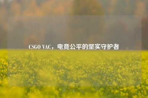 CSGO VAC，电竞公平的坚实守护者