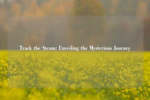 Track the Steam: Unveiling the Mysterious Journey