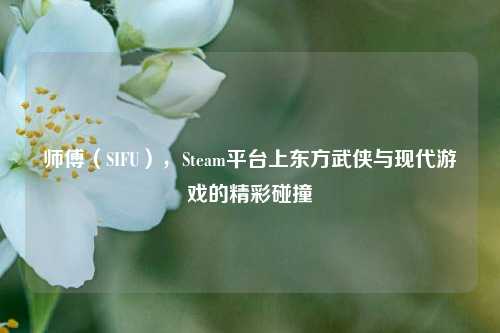 师傅(SIFU),Steam平台上东方武侠与现代游戏的精彩碰撞
