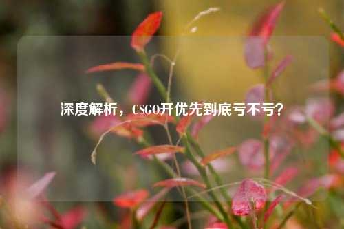 深度解析，CSGO开优先到底亏不亏？