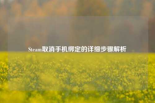 Steam取消手机绑定的详细步骤解析