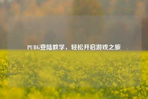 PUBG登陆教学,轻松开启游戏之旅