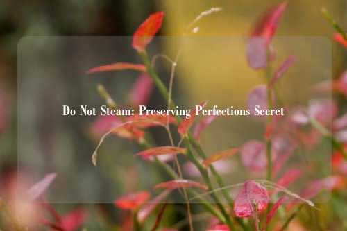 Do Not Steam: Preserving Perfections Secret