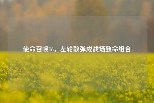 使命召唤16,左轮散弹成战场致命组合