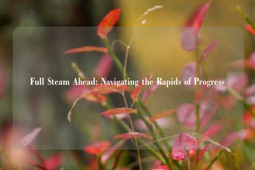 Full Steam Ahead: Navigating the Rapids of Progress