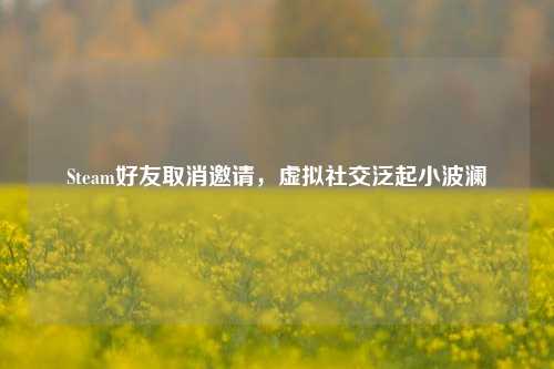 Steam好友取消邀请，虚拟社交泛起小波澜