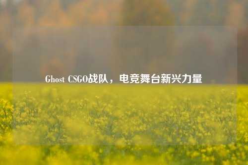 Ghost CSGO战队，电竞舞台新兴力量