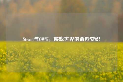 Steam与OWW,游戏世界的奇妙交织