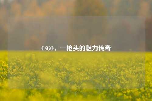 CSGO，一枪头的魅力传奇