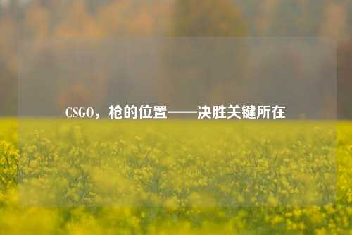 CSGO,枪的位置——决胜关键所在