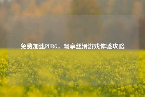 免费加速PUBG，畅享丝滑游戏体验攻略