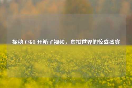 探秘 CSGO 开箱子视频，虚拟世界的惊喜盛宴