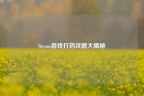 Steam游戏打药攻略大揭秘