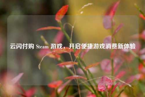 云闪付购 Steam 游戏，开启便捷游戏消费新体验