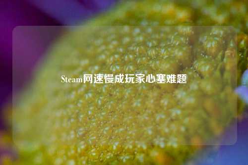 Steam网速慢成玩家心塞难题