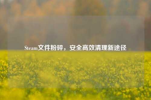 Steam文件粉碎，安全高效清理新途径