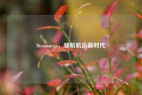 Steamargo，领航航运新时代