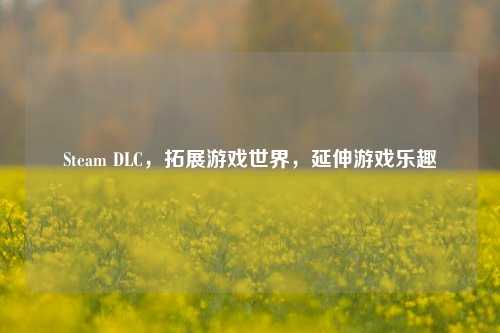 Steam DLC，拓展游戏世界，延伸游戏乐趣