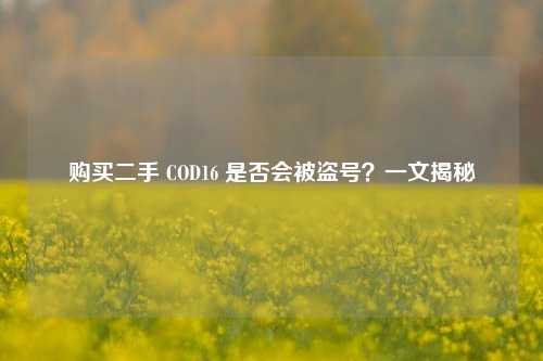 购买二手 COD16 是否会被盗号?一文揭秘