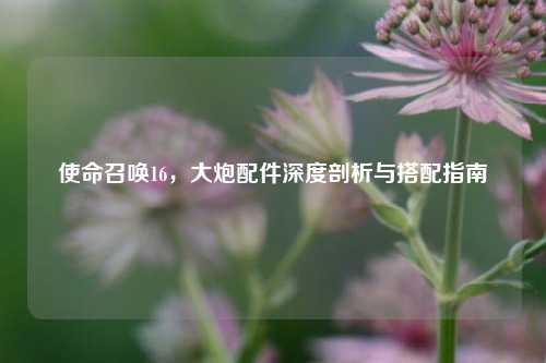使命召唤16,大炮配件深度剖析与搭配指南