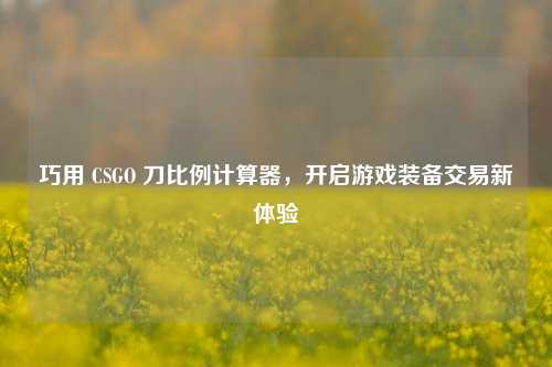 巧用 CSGO 刀比例计算器，开启游戏装备交易新体验