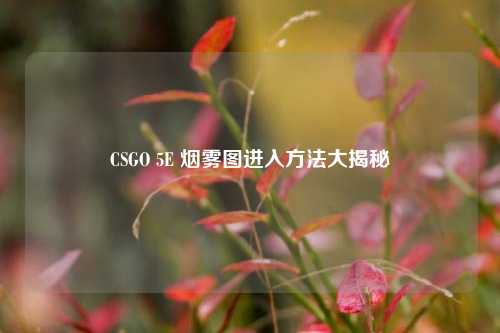 CSGO 5E 烟雾图进入方法大揭秘