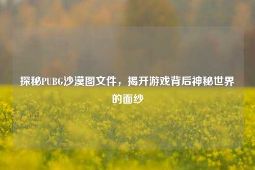 探秘PUBG沙漠图文件，揭开游戏背后神秘世界的面纱