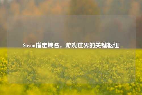 Steam指定域名,游戏世界的关键枢纽