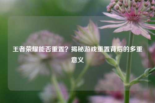王者荣耀能否重置?揭秘游戏重置背后的多重意义