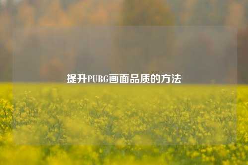 提升PUBG画面品质的 ***