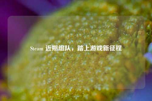 Steam 近期组队，踏上游戏新征程