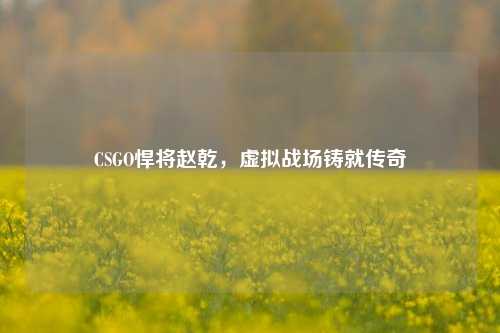 CSGO悍将赵乾,虚拟战场铸就传奇