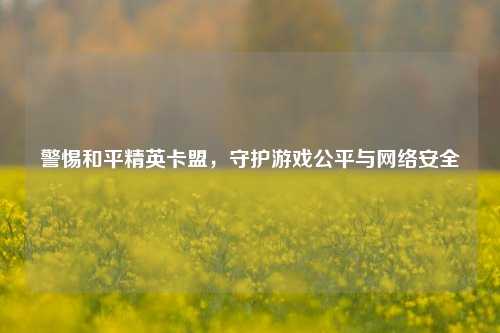 警惕和平精英卡盟，守护游戏公平与 *** 安全