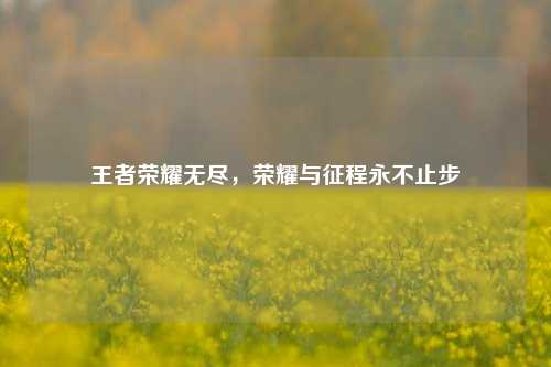 王者荣耀无尽，荣耀与征程永不止步