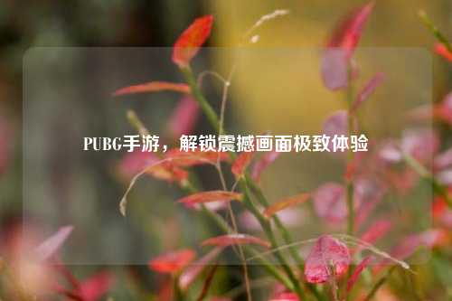 PUBG手游，解锁震撼画面极致体验