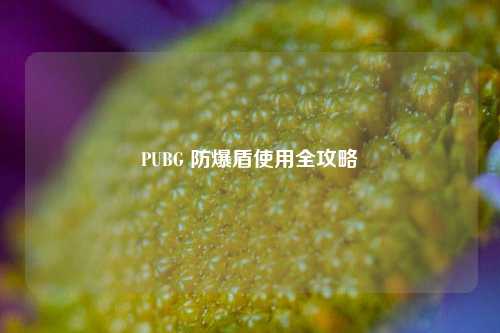 PUBG 防爆盾使用全攻略