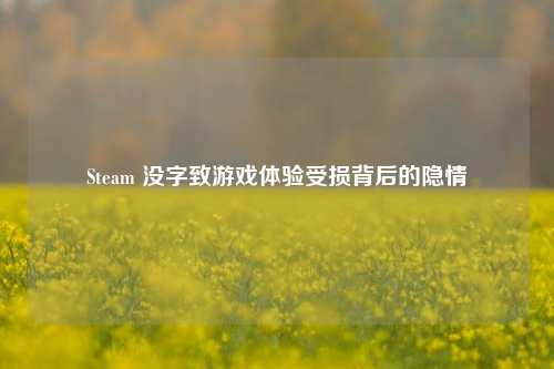 Steam 没字致游戏体验受损背后的隐情