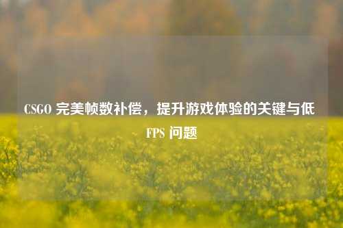 CSGO 完美帧数补偿,提升游戏体验的关键与低 FPS 问题