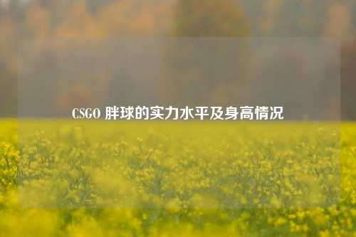 CSGO 胖球的实力水平及身高情况