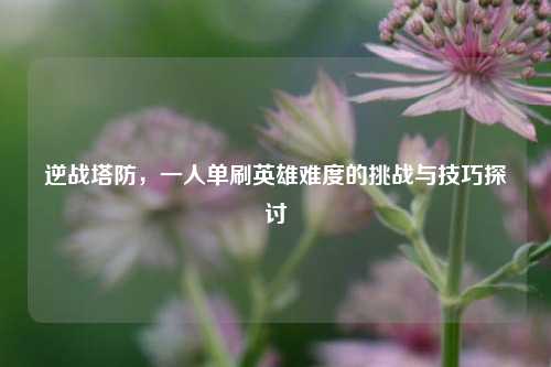 逆战塔防,一人单刷英雄难度的挑战与技巧探讨