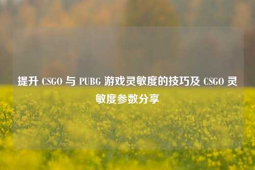 提升 CSGO 与 PUBG 游戏灵敏度的技巧及 CSGO 灵敏度参数分享