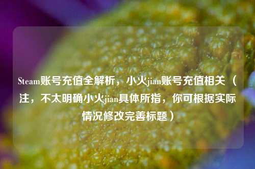 Steam账号充值全解析,小火jian账号充值相关 (注,不太明确小火jian具体所指,你可根据实际情况修改完善标题)