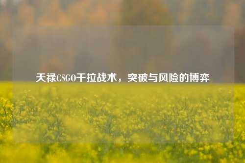 天禄CSGO干拉战术,突破与风险的博弈