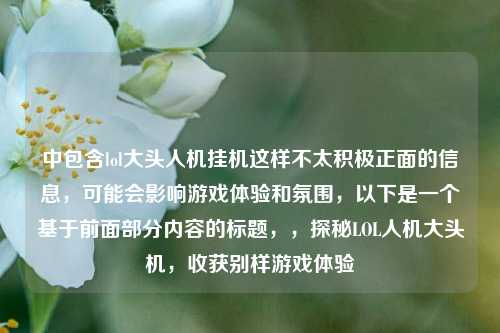 中包含lol大头人机挂机这样不太积极正面的信息,可能会影响游戏体验和氛围,以下是一个基于前面部分内容的标题,,探秘LOL人机大头机,收获别样游戏体验